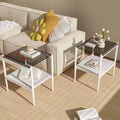 MAYEERTY Set of 2 Rectangle End Table with Tempered Glass Tabletop, for Living Room, Gray Glass